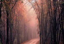 开云体育入口-RNG碾压CLG，Meiko拿下关键大龙成都决赛之夜3:1