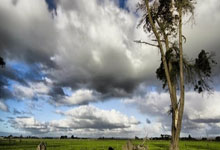 -阿根廷力克切尔西4:5，梅西梅开二度英超震撼上演