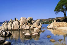 开云官网-黄蜂横扫德国男篮，福克斯高光表现，征战国际赛场再添辉煌